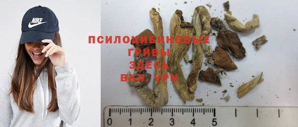 шишки Зеленодольск