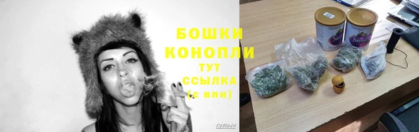 МДПВ Семёнов