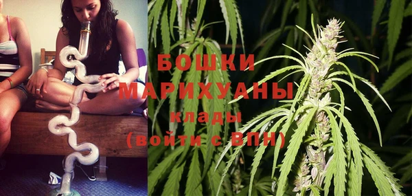 шишки Зеленодольск