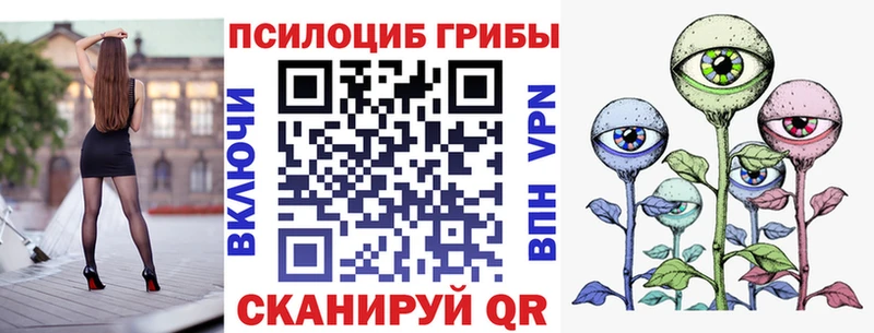 где купить   Рудня  Галлюциногенные грибы GOLDEN TEACHER 